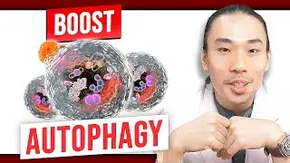 5 Ways To Boost Your Autophagy | This Will Save Your Time