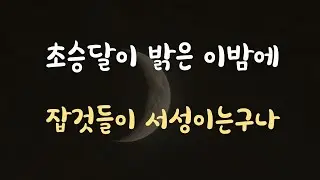 [1편] 위험에 빠진 여인을 구해주는 뱀파이어 사극ASMR