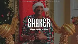 SHAKER (West Coast Type Beat) x G Funk Rap Beat | HeadSpace Beats