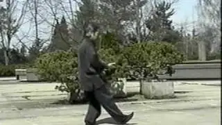 Fu Style Wudang: Advanced Tai Chi
