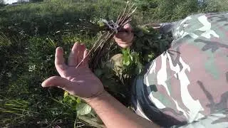 Как вязать веники  для бани, видео rybachil.ru