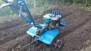 Cum se foloseste motosapa