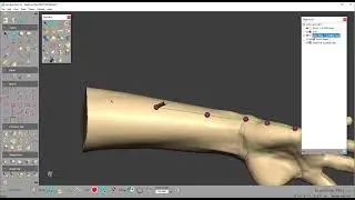 Freeform Tutorial - Basic Brace