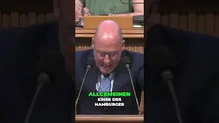 Der Hamburger Hafen: Gründe für den Rückgang und Lösungen für die Zukunft