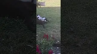 Мама и сынок