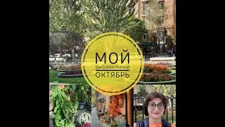 Мой вышивальный октябрь!