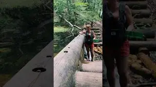 Iargo springs rules