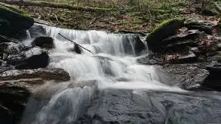 Escape to Serenity Relax and Unwind with Spring Birds and Waterfall Sounds