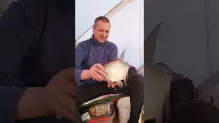 fishing 2023. first trip, 2 bream. 