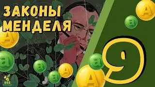 Законы Менделя и решение задач