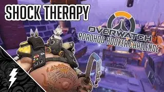 ⚡ Shock Therapy ⚡ | Overwatch Roadhog Hook Challenge | Overwatch Pain Challenge and Funny Moments