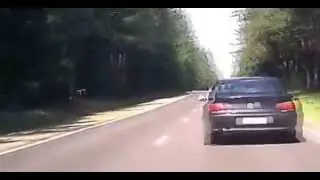 losik