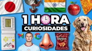 ¡1 HORA De DATOS CURIOSOS y COSAS Que No SABÍAS! ⏰(+150 datos) | #25