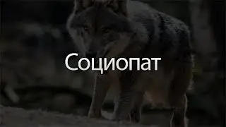 Sociopath