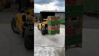 Погрузка 🍉💪🏻🚛