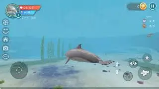 WildCraft: OCEAN WORLD UPDATE/NEW CLOTHES FOR LION AND CHEETAH/MYSTIC EGEAL SKIN!!!!!
