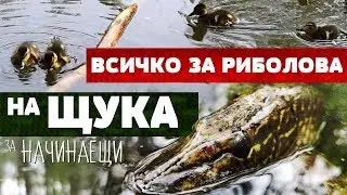 Спининг риболов на ЩУКА за начинаещи ОТ ДО !  Построяване на линията и видове примамки