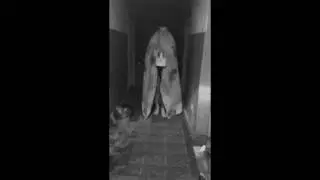 The Wolfy One - нечто