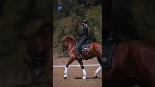Here’s my secret tip to keeping your hands still in the posting trot! 