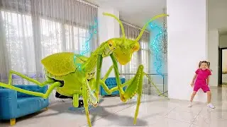 Giant Insects at Home! 🐜 Amazing Bug Life Secrets