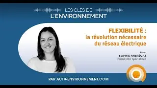 Flexibilité : la révolution nécessaire du réseau électrique - Les Clés de l'Environnement