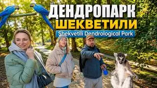 ДЕНДРОПАРК ШЕКВЕТИЛИ | Shekvetili Dendrological Park | Что посмотреть в дендропарке Шекветили?