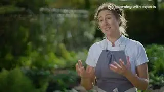 River Cottage Boosting Gut Health & Immunity online course