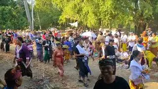 (Nundunin, Ngulapin, Meseh lawang) Ngaben Massal , Desa Jagaraga