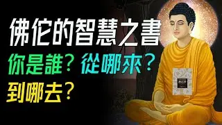 《悉達多》裡的智慧之光，佛佗的智慧之書。你是誰？從哪來？到哪去？     📚說書《悉達多》解讀  #佛教智慧 #無我思想 #生命輪迴 #業力 #涅槃 #生死解脫 #自我認知  #河流覺悟 #因果輪回