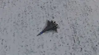 SU-57 Felon flyby