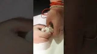Колыбельная для хомячка)))