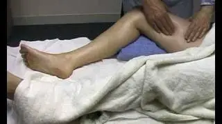 Leg massage: Inner Thigh for sports massage and sweedish massage