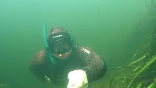 Подводная охота 