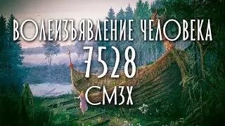 ВОЛЕИЗЪЯВЛЕНИЕ ЧЕЛОВЕКА 7528 смзх