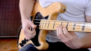 BASS MEETS LOOP STATION - Thomas Schräpfer