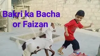 Bakri ka Bacha playing with Faizan Funny scene with Got Child Funny Video