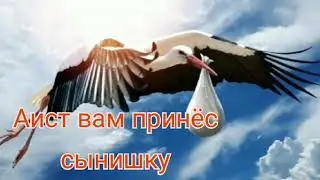 С РОЖДЕНИЕМ СЫНА//С РОЖДЕНИЕМ МАЛЬЧИКА//С РОЖДЕНИЕМ МАЛЫША