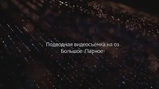 о.Парное (подо льдом), как ведет себя рыба в глухозимье. 2020