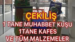 1 TANE MUHABBET KUŞU 1 KAFES  TÜM EKİPMANLAR ( ÇEKİLİŞİ ) AÇIKLAMADAKİ LİNKE ABONE OL ÇEKİLİŞE KATIL