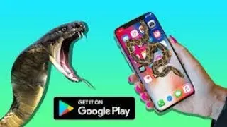 Snake Is Crawling On The Screen Of Your Phone.