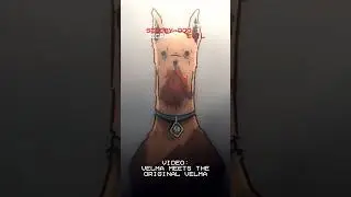 Scooby-Doo Is A Killer