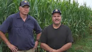Managing Aphids and Spider Mites with Regenerative Systems at Zeliff Farms