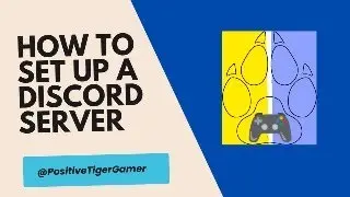 Positive Tiger Gamer's How to Set up a discord Server