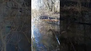 ✔On the stream💦✔