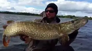 Ловля большой  щуки