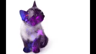 كيفية عمل double exposure للصورة بأستخدام برنامج الفوتوشوب cs6