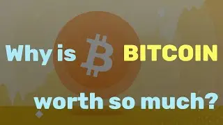 Why Does Bitcoin Have Value? What Determines BTC Price?