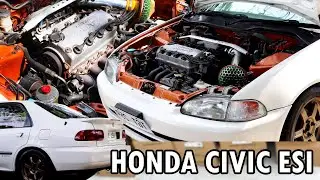 1993 HONDA CIVIC ESI MODEL EG9 INSPIRED FERIO BUILD // FULL CAR REVIEW