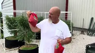 Worms in the Pots