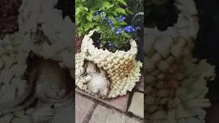 От чего я зависимая? От цветов? Это моё счастье! #цветы #garden